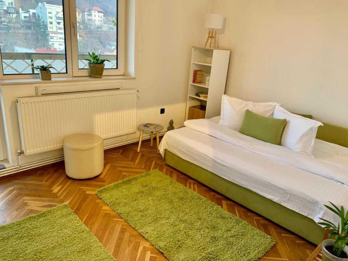 Viktory Apartment Brasov