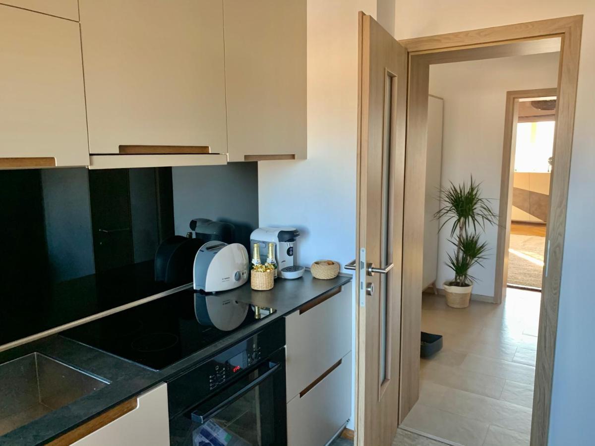 Viktory Apartment Brasov