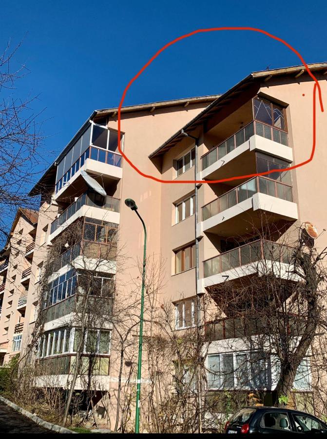 Viktory Apartment *